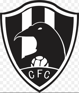 Club de Cuervos